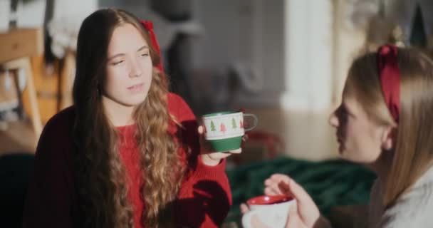 圣诞节期间 在明亮的阳光下与姐姐聊天的漂亮的年轻女人 带着咖啡杯回家 — 图库视频影像