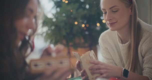 Noel Evde Kız Kardeşimle Karton Süsü Monte Eden Güzel Genç — Stok video