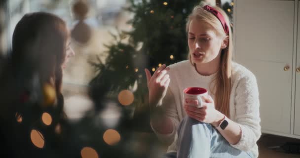 Krásná Mladá Žena Šálkem Kávy Mluvit Sestrou Zatímco Sedí Jasném — Stock video