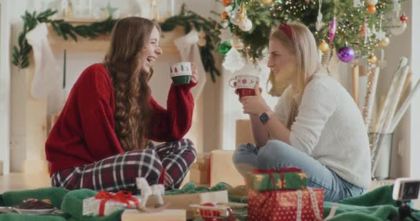 Boční Pohled Veselých Mladých Sester Mluvit Při Držení Šálků Kávy — Stock video