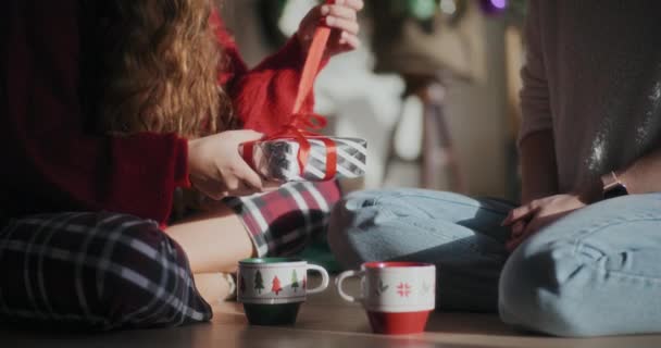 Junge Frau Öffnet Weihnachtsgeschenk Ihrer Schwester Während Sie Hellen Haus — Stockvideo