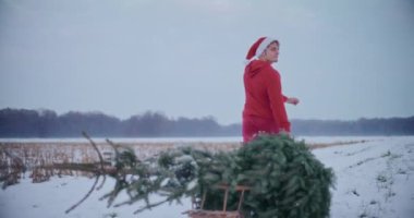 Kırmızı, kalın elbiseli ve Noel Baba şapkalı genç adam kar üzerinde Noel ağacı çekiyor açık gökyüzüne karşı.