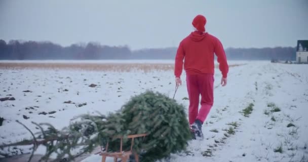 身着红色保暖衣服头戴圣诞帽的男子在雪地上拉圣诞树的后视镜 — 图库视频影像