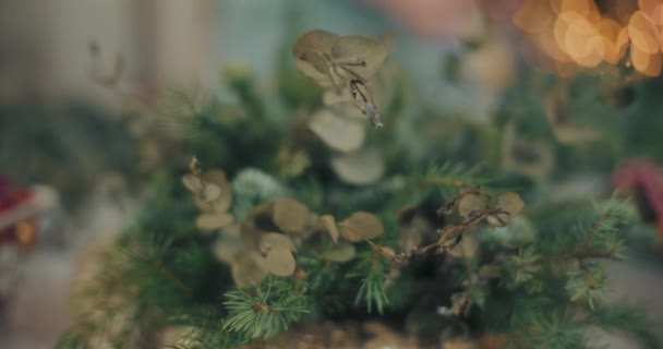 Widok Choinki Rozgałęzione Boże Narodzenie Dekoracje Wieniec — Wideo stockowe