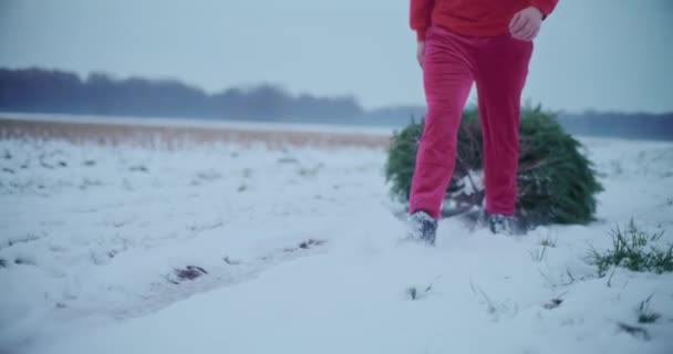 Nízká Část Mladého Muže Tahání Vánoční Strom Saních Zasněženém Poli — Stock video