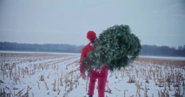 Kırmızı, kalın elbiseli ve Noel Baba şapkalı bir adam Noel ağacını omuzlarında taşırken karla kaplı arazide yürüyor.