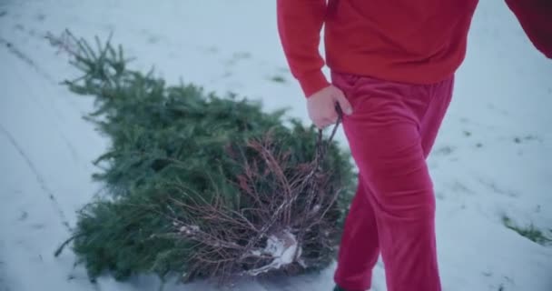 Low Section Young Man Pulling Christmas Tree Snow Covered Landscape — Stock Video