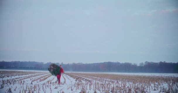Junge Mann Trägt Weihnachtsbaum Voller Länge Während Auf Trockener Schneebedeckter — Stockvideo
