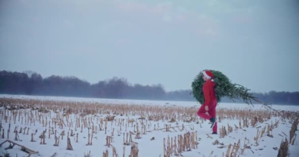 Full Length Young Man Carrying Christmas Tree Shoulder While Walking — Stock Video