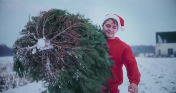 Glad Man Röd Huva Jacka Och Santa Hatt Bär Julgran — Stockvideo