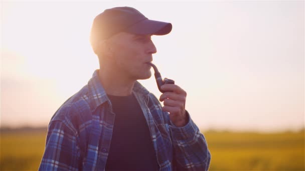 Porträt Eines Landwirts Bei Der Ernte Von Feldfrüchten — Stockvideo