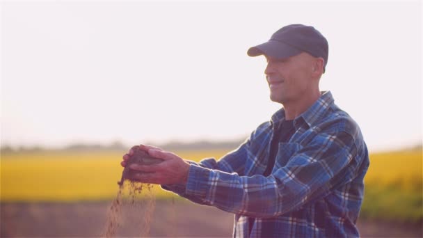 Ritratto Agricoltore Che Esamina Colture Agricoltura Raccolta Sul Campo — Video Stock