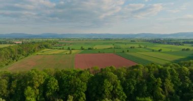 Kuşlar tarım arazilerine ve yeni ekilmiş ekinlere bakıyor