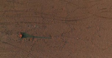 Aşırı kuraklık sırasında çatlamış toprak ve kuru arazi manzarası