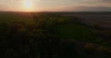 Ormanın sinema manzarası ve gün batımında batan güneş.