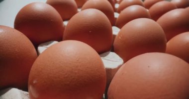 Organik tavuk yumurtaları, yüksek besin değeri ve sağlık faydaları için değerli bir besin maddesi olarak kabul edilir.
