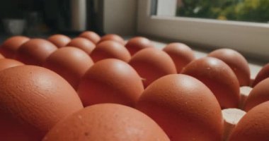 Organik bir çiftlikte üretilen GDO-dışı tavuk yumurtaları saf, doğal ve sağlıklı besin sağlıyor.