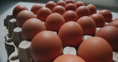 Tavuklardan taze tavuk yumurtası toplandı, doğal kaliteleri ve etik tarım uygulamalarıyla ünlendi.