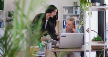 Meslektaşlar dizüstü bilgisayarda bir proje üzerinde birlikte çalışır, tartışır, analiz eder ve deneyim alışverişinde bulunurlar..