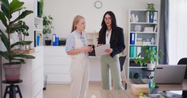 Bir ofis çalışanı projeyi şirketin müdürüne sunar, belgeleri tartışır ve projeye danışır..