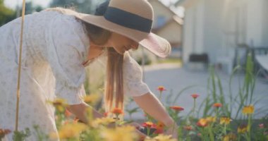 Şapkalı kadın çiçekleri keser ve taze çiçek buketi yapar..