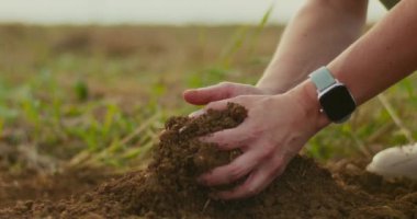Dişi bir çiftçi, tarımsal alanda ellerindeki toprağı yakından inceliyor..