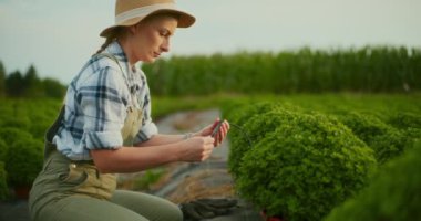 Bahçıvan bir bitki sulama sistemi hazırlıyor..