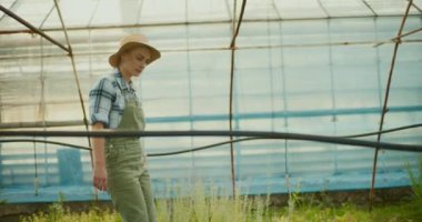 Kadın bahçıvan serada dolaşıyor ve bitkilerin durumunu inceliyor..