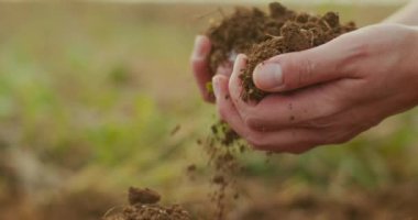 Çiftçilerin elleri tarımsal toprağı inceliyor, çiftçiler toprağı ellerinde tutuyor..