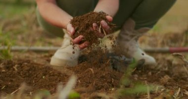 Çiftçilerin elleri tarladaki toprak yapısını kontrol ediyor. Ellerindeki verimli toprağı parçalıyor..