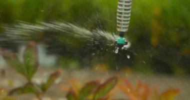Su ve su püskürten profesyonel bir bahçe fıskiyesinin yavaş çekimi..