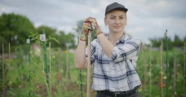 Organik yetiştirilmiş sebze bahçesinin arka planında bir bahçıvanın yakın çekimi..