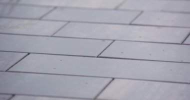 Yağmurdan sonra parlayan kaldırım taşlarının üzerine yakın plan yağmur damlaları.