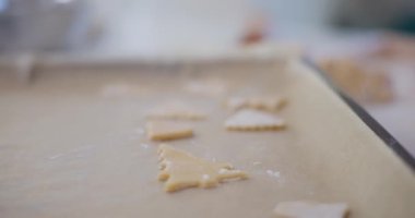 Genç bir çocuk kesim tatil kurabiyelerini dikkatlice fırında pişirmeye hazırlıyor..