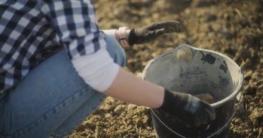 Bir kadın tarlada çalışıyor, taşları kovaya atıp toprağı kayalardan temizliyor ve ekime hazırlıyor..