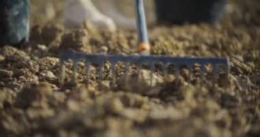Toprak parçalarını parçalayan bir tırmığın yakın plan çekimi organik sebze yetiştirmek için toprak hazırlama sürecini vurguluyor..