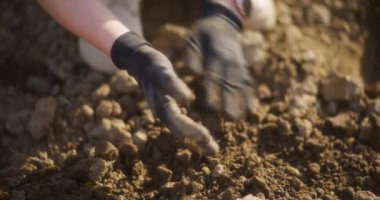 Bir kadın elindeki kuru toprağı ovuyor, kuraklık sırasında nemli içeriğini kontrol ederek tarım potansiyelini ölçüyor..