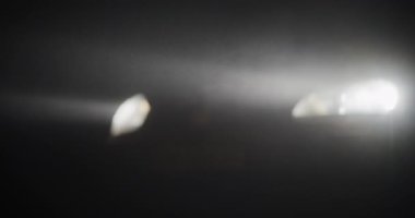 Ağaçların dallarını yarıp geçen, yumuşak gölgeler bırakan ve karanlık ormanda rüya gibi bir atmosfer yaratan ay ışığının mistik bir sahnesi..