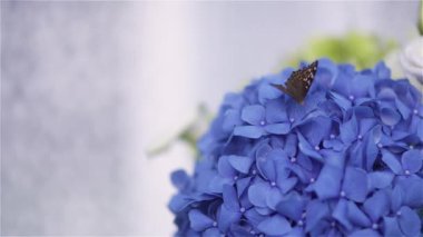 Eşsiz ve büyüleyici gelin görünüşü için neşeli ve kaprisli gül çiçekleri fikirleri.