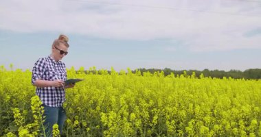 Tarım alanındaki büyüyen ve olgunlaşan kolza tohumu bitkilerini inceleyen dişi çiftçi. Ekin olgunluğu ve bitki sağlığı değerlendirmesi kavramı.