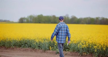 Çiftçi tarım rutini sırasında büyüme sürecini ve tarla koşullarını değerlendirmek için tarım arazilerini inceler