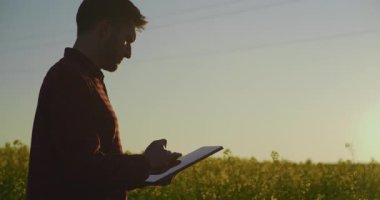 Güzel bir günbatımı ve sarı kolza tohumu tarlasına karşı dijital tablet kullanan bir çiftçinin silüeti modern tarım teknolojisini yakalıyor..