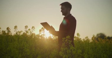 Verimli yönetim için altın gün batımında dijital tablet kullanırken tarlada çalışan bir çiftçi..