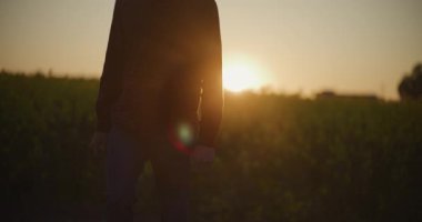 Dalgın bir çiftçi, dingin manzaralarla çevrili güzel gün batımı tarım arazilerinde yürüyor..