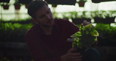 Bir bahçıvan neşe içinde seraya taze çiçek filizleri eker ve canlı bir bahçe sağlar..