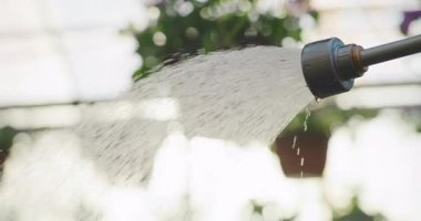Bahçe hortumunun kapalı görüntüsü. Sızan su, bahçeyle ilgili görseller için mükemmel..