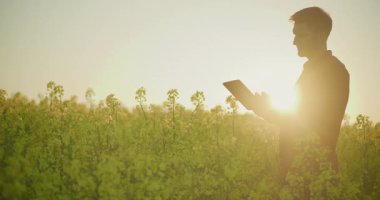 Güzel altın saat günbatımının altında verimli bir tarlada çalışan çiftçi kırsal hayatın özünü ve doğanın güzelliğini yakalıyor..