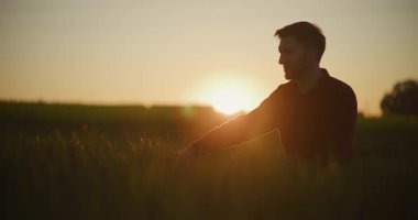 Arka planda güzel bir günbatımı olan buğday kulaklarına dokunan bir çiftçinin büyüleyici portresi..