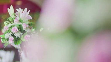 Canlı lavanta çiçeklerinden nektar toplayan bir yaban arısının detaylı görüntüsü doğadaki tozlaşma sürecini gösteriyor..