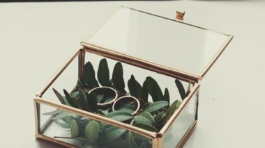 Dekoratif cam bir kutuya yerleştirilmiş iki zarif nikah yüzüğünün yakın görüntüsü aşk ve evliliği simgeliyor..